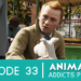 animation-addicts-episode-33-website-art-tintin