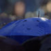 The-Blue-Umbrella