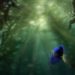 finding-dory-concept-art-1000-621x350