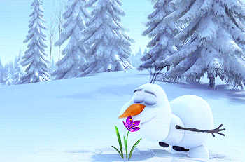 tumblr_mu39cn2mXx1rfzqobo1_500