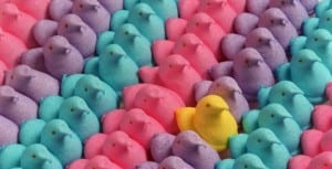 peeps-movie-in-the-works