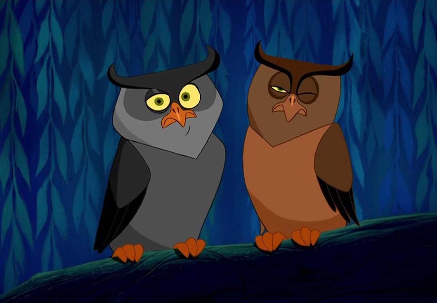 pocahontas owls