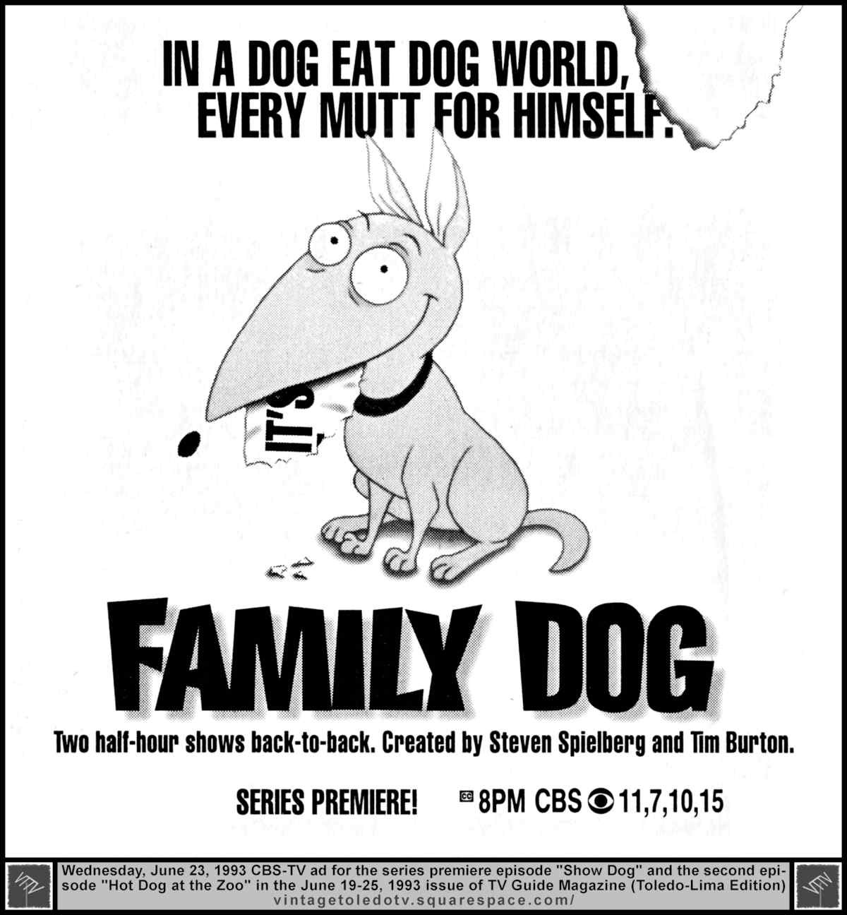 family-dog-ad