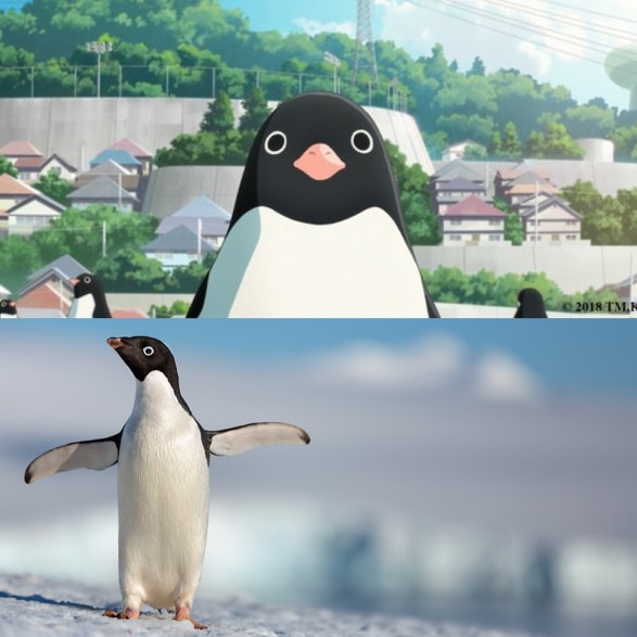 REVIEW] 'Penguins' and 'Penguin Highway' - Rotoscopers