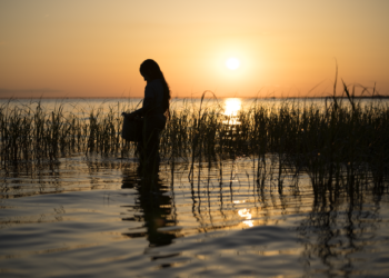 [REVIEW] ‘Where The Crawdads Sing’ Is a Riptide of Emotions