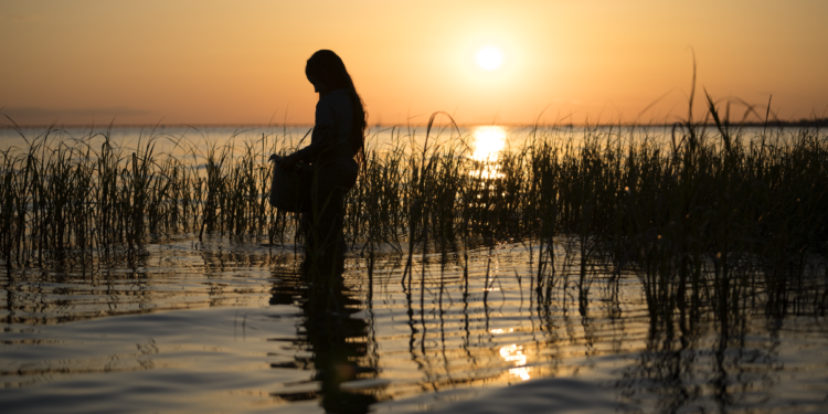 [REVIEW] ‘Where The Crawdads Sing’ Is a Riptide of Emotions