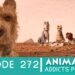 Animation Addicts Podcast #272: Isle Of Dogs – You Heard The Rumor, Right?