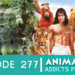 Animation Addicts Podcast #277: Ranking the Disney Live Action Remakes
