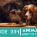 Animation Addicts Podcast #334: Lady and the Tramp (2019) – Uncanny K9s