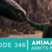 animation-addicts-website-art-346-live-action-how-to-train-your-dragon-2025