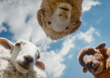 THE SHEEP DETECTIVES